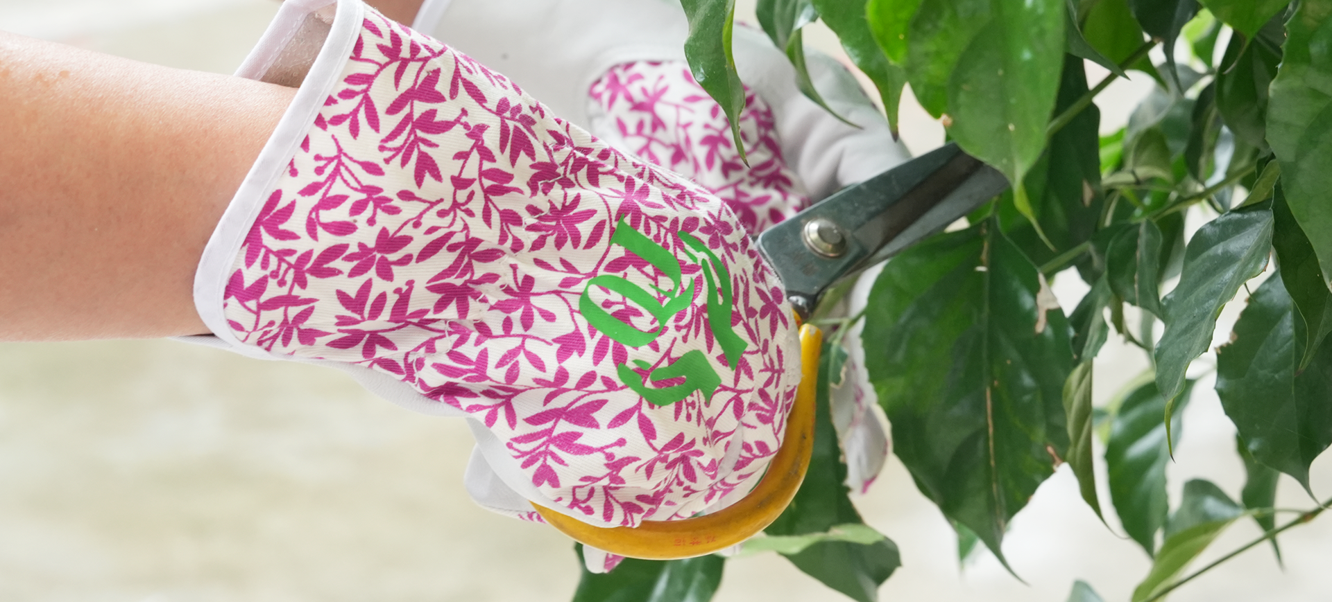 Luva Co. de Nantong Qiji, Ltd.